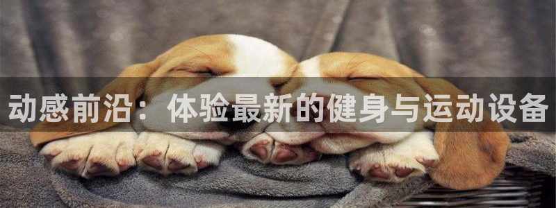 fb体育招商：动感前沿：体验最新的健身与运动设备