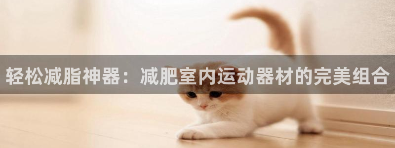 fb体育科技：轻松减脂神器：减肥室内运动器材的完美组合