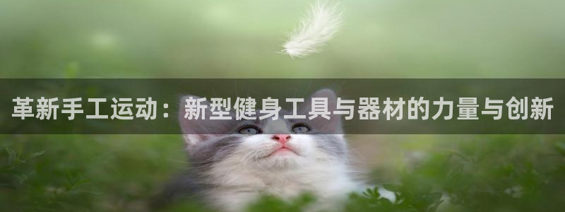 fb体育科技：革新手工运动：新型健身工具与器材的力量