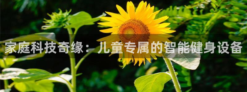 fb体育集团官网网址：家庭科技奇缘：儿童专属的智能健