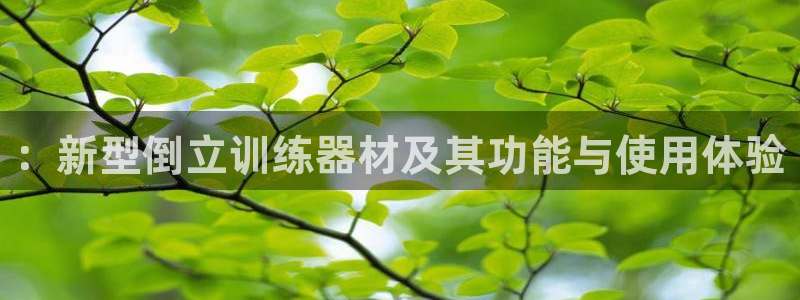 fb体育平台注册流程图：：新型倒立训练器材及其功能与