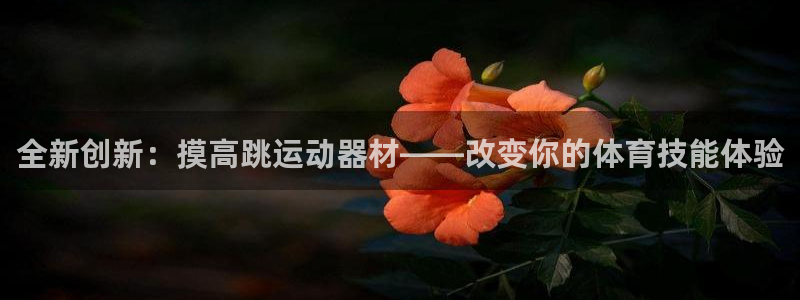 fb体育招商电话地址是多少：全新创新：摸高跳运动器材——改变