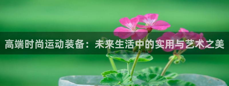 fb体育招商电话地址查询：高端时尚运动装备：未来生活中的实用