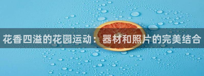 海南fb体育发展怎么样