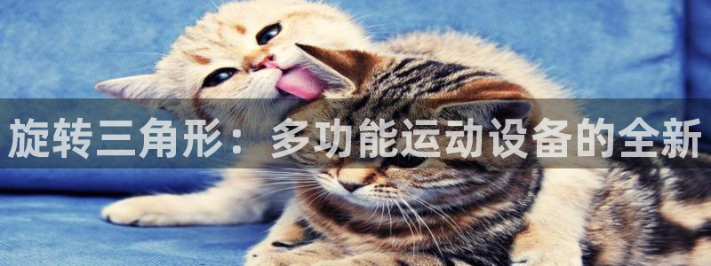 fb体育招商电话是多少号码：旋转三角形：多功能运动设备的全新