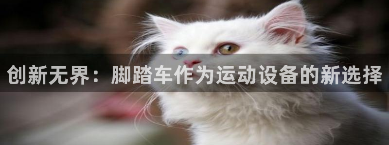 fb体育招商电话地址是多少：创新无界：脚踏车作为运动