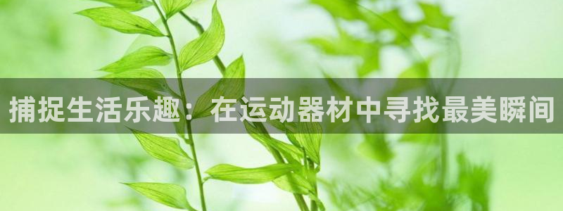 fb集团官网：捕捉生活乐趣：在运动器材中寻找最美瞬间