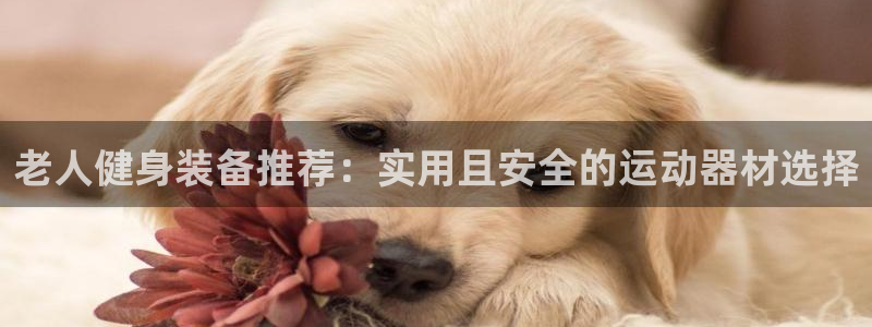 fb体育娱乐：老人健身装备推荐：实用且安全的运动器材选择