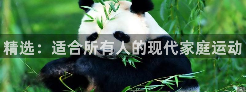 fb体育五金厂：精选：适合所有人的现代家庭运动