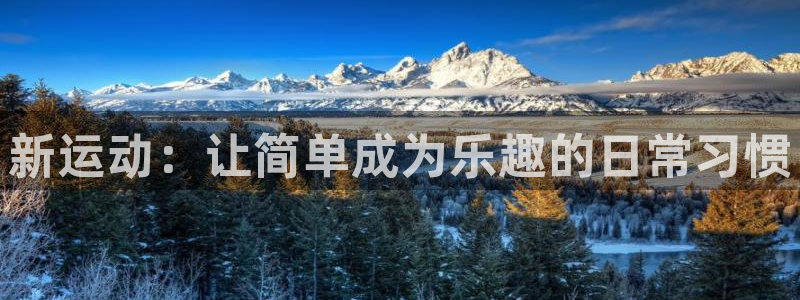 fb体育平台假的吗是真的吗吗：新运动：让简单成为乐趣的日常习