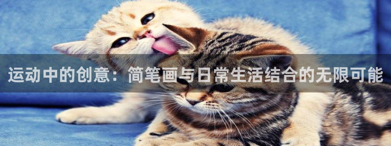 fb体育开户：运动中的创意：简笔画与日常生活结合的无