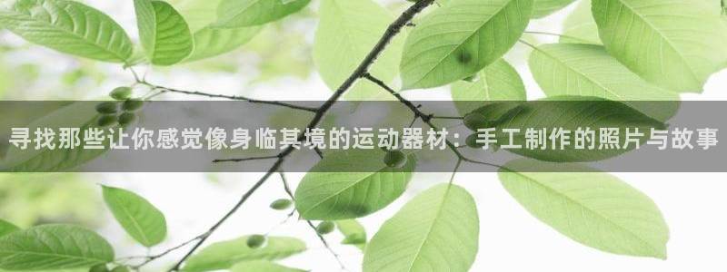fb体育集团官网网址：寻找那些让你感觉像身临其境的运动器材：
