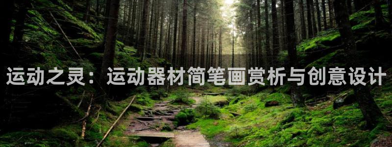 海南fb体育发展怎么样